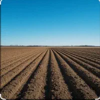 زمین کشاورزی همراه آب ملکی