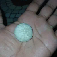 سنگ فسیل