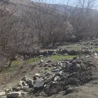 زمین-فروشی