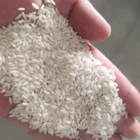 برنج عمده باپته و کدانباری ارسال به سراسرکشور|عمده‌فروشی|شادگان, |دیوار