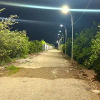 باغچه