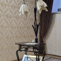 آباژور شلف دار