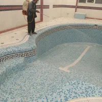سمپاشی ساس سوسک و حشرات موذی تضمین۱۰۰٪ درصدی