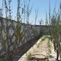 چهاردیواری سند دار معاوضه با خودرو