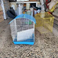 قفس کاسکو طوطی