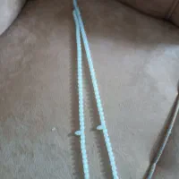 تسبیح شب نما