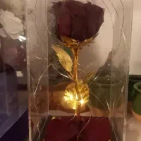 گل رز جاودان برگها روکش طلای ۲۴