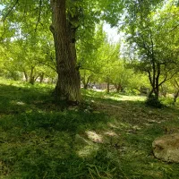 باغ-تفریحی-سپیدان