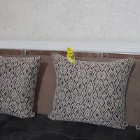 عدد