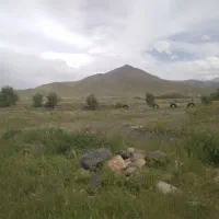 زمین مناسب باغ سیمین زاغه