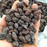کشمش و مویز .دشمن زیار شیراز