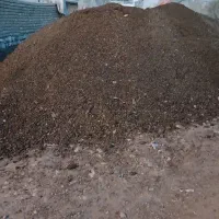کود‌‌گوسفندی