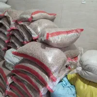 حبوبات