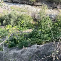 زمین ۱۰۰۰متری باغی