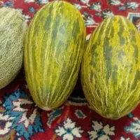 سلام دوستان خربزه مولاتی