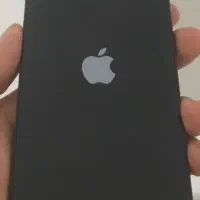13 normal