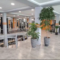 کاهش وزن و افزایش وزن علمی، بدنسازی، تناسب اندام