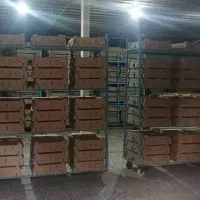 فروش جوجه گوشتی راس308