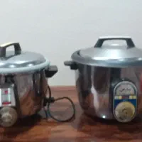 پلوپز برقی