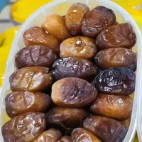خرما  رطب کبکاب و حلو بوشهر