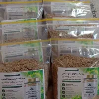 پودر استخوان ساز
