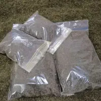 سبزیجات|خوردنی و آشامیدنی|نیشابور, کریم آباد|دیوار