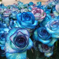 عرضه گل شاخه تازه از گلخانه