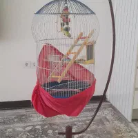 قفس فروشی