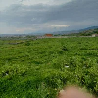زمینی-دردهنه-محمدآبادروستای-الستان-بالاجنب-آویشن3