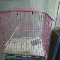 قفس پرنده نوی نو