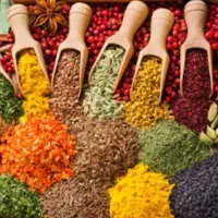 نیروی کار بسته بندی