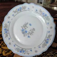 بشقاب فرانسه لومینارک