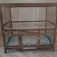 قفس دست ساز..شیک