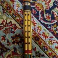فروش دسته نی انبان