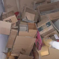 کارتن های پستی