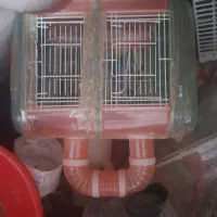 سلام خانه همستر