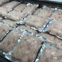 ماهی و میگوی ارگانیک خلیج فارس