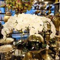 نیروی فروش مجرب
