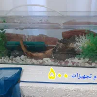 آکواریوم ماهی پمپ هوا لجنخوار فلاور