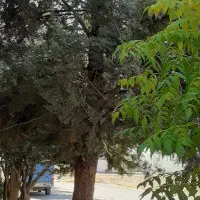 رهن-و-اجاره-مغازه-12متری-خ-رودکی