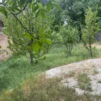 باغچه ۲۰۰ متری داخل شهرک