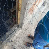 تور شیری|ماهیگیری|بوشهر, |دیوار