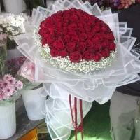 شاخه ای ۴۰