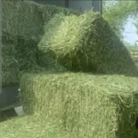 پرس یونجه مرغوب