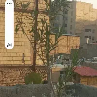کفتر  عوضش میکنم با۲جفت کبوتر