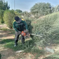 علف زنی بادستگاه