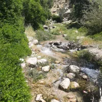 فروش باغ اناری همراه درخت گردو بادام