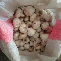 سیر همدان