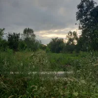 زمین مسکونی