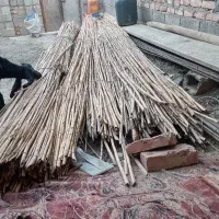 نی سقفی فروش فوری